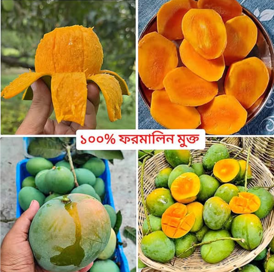 20Kg Himsagor Mango🥭 (Satkhira)
